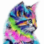 투코비 DIY 보석십자수 25x25 레인보우 고양이 D25-20 : 투코비