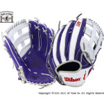 WILSONKOREAA2KGM모델2021글러브HM13자수무[보흰_우투] 대성스포츠 : 미즈노대성스포츠