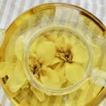 목련꽃차효능  목련꽃차 산목련 자목련 목련꽃차1호 10g : 유투데이