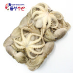 태국산쭈꾸미 1kg 8-10마리 냉동수입쭈꾸미 택배 볶음용 샤브샤브용 : 동부수산