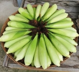 ★[3차수확 예약] 개터농장부부의 미백 찰옥수수 20개 : 개터두레농장