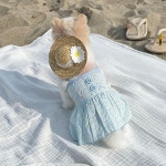 강아지옷 쁘띠원피스(XS~XL) : 댕댕무드