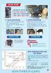 밀크바 송아지 포유기 6두용 : 백년가게