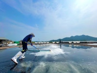 국산 신안 비금도 간수 뺀 미네랄 김장 천일염 굵은 왕 소금 5키로(5kg) : 다색농장