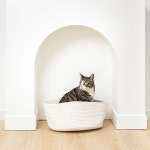 펫트리움 고양이 바구니 하우스 고양이집 숨숨집 스크래쳐하우스 : PETRIUM