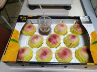 명품 감곡 햇사레복숭아 과수원 직판 3 kg : PEACH-WORLD