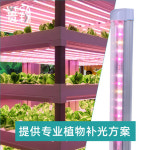 식물등 효과 귀뚜라미사육 상추기르기 스탠드 귀상식물성장등 LED식물공장 육묘 T8 올 : 리리네상점