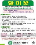 할미꽃 씨앗 50립 / 꽃씨 몰 다년생  korean pasque flower seed : 주주씨앗