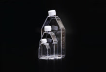 SPL Cell Culture Flask 셀컬쳐플라스크 멸균 에스피엘 세포 배양 플라스크 : 바이오브릿지