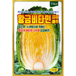 황금비타민배추씨앗 500립 : 제일농약사