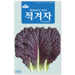 적겨자 2000립 쌈채소씨앗 겨자씨앗 : 주식회사 청농