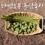 하빈농부 솔삼총사 자연산 식용 생솔잎 솔방울 솔잎새순/200g : 하빈농부