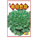 비타민채씨앗 2000립 쌈채소 채소씨앗 : 주식회사 청농