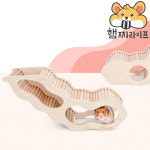 땅굴 관찰존 은신처 나이트엔젤 드워프 골든 짭디펫 햄스터 용품 : 햄찌 라이프