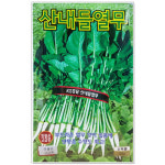 산내들열무 25g 열무씨앗 가을무 : 주식회사 청농