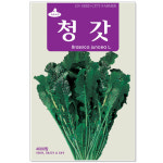 청갓씨앗 4000립 가을씨앗 김장씨앗 텃밭채소 : 주식회사 청농