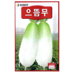 으뜸무씨앗 600립  가을씨앗 김장씨앗 : 주식회사 청농
