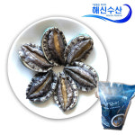 [해신수산]완도활전복 특특대 7-8미 1kg 산지직송 : 에버리테일