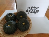 아빠의싱싱농장 무농약 단호박 미니밤호박 보우짱 4kg : 청춘영농조합법인