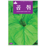 곰취씨앗 100립 곰취나물 민속씨앗 : 주식회사 청농