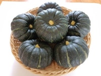 아빠의싱싱농장 무농약 단호박 미니밤호박 보우짱 4kg : 청춘영농조합법인