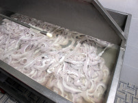 대량 3팩 수제고기순대 500g 병천아바이 전통토종고기순대 : 맛순