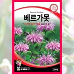 베르가못 씨앗 300립 / 벨가못 모나르다 종자 다년생야생화 꽃씨몰 : 아진종묘 꽃씨몰