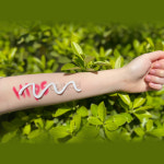 (직영몰) 힙스 펩타이드 클렌징폼 150ml : 팜스메틱