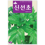 신선초씨앗 100립 민속씨앗 텃밭채소 : 주식회사 청농
