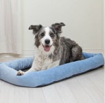 참조은 개시원매트 중형 대형 펫 쿨링 애견 쿨매트 반려동물 쿨방석 : 찐다온스토어