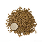 비지떡 양어장 5호 500g 대형어 사료 : Bizidduk