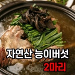 자연산 국내산 능이버섯 삼계탕 만들기 능이 백숙 재료 끓이는법 삼계탕 보양 맛집 닭죽 : 굿모닝파크