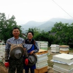 국산 생로열젤리 50g 3병 천연 로얄젤리 효능 : 이레농장 꿀단지