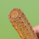 맛있게먹개 댕츄 1P 소고기맛 연어맛 수제간식 전연령 국산 부드러운식감 : 핸디라이프