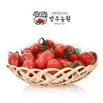 방주농원 대추 방울 토마토 2kg 5kg : 방주농원