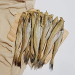 국내가공 반건조 두절 노가리 1kg 명태 : 건어맨