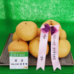 양양청마농원 Gap 양양낙산배 7.5kg 10 ~13과 선택형 : 양양청마농원