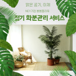 사무실 화분관리 식물관리 서비스(부산,울산) : 봄봄 플라워