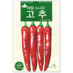 피알노나다고추씨앗 15립 채소씨앗 봄씨앗 : 주식회사 청농