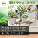 사무실 화분관리 식물관리 서비스(부산,울산) : 봄봄 플라워