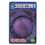 레드양배추씨앗 100립 적양배추 양배추종자 : 주식회사 청농