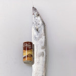 동문시장 갈치 칼치 제주 은갈치 택배 생갈치 은칼치 생일선물세트 산지직송 : 냠냠박사