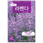 라벤다씨앗 150립 허브씨앗 : 주식회사 청농