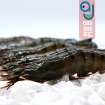 냉동 블랙타이거새우 500g 8미부터 20미까지 (냉동새우 바베큐 캠핑요리 구이) : 에이제이푸드