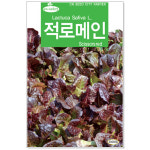 베이비적로메인씨앗 3000립 적로메인 베이비씨앗 샐러드채소 : 주식회사 청농