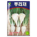뿌리배추씨앗 10g 뿌리배추 가을배추 : 주식회사 청농