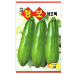 청보애호박씨앗 15립 호박종자 채소씨앗 : 주식회사 청농