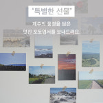 호끌락칩스 제주보리로 만든 쌀과자 감귤쌀칩 20g 60g : 제주로부터