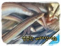 통영 바다장어, 맛있는 바다장어, 싱싱한 장어, 장어구이, 장어탕, 장어덮밥, 몸보신 바다장어, 장어 손질, 구워만드세여 : 통영 해물세상