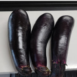 가지 2kg 병학농장 : 이병학교수의 싹다팔어